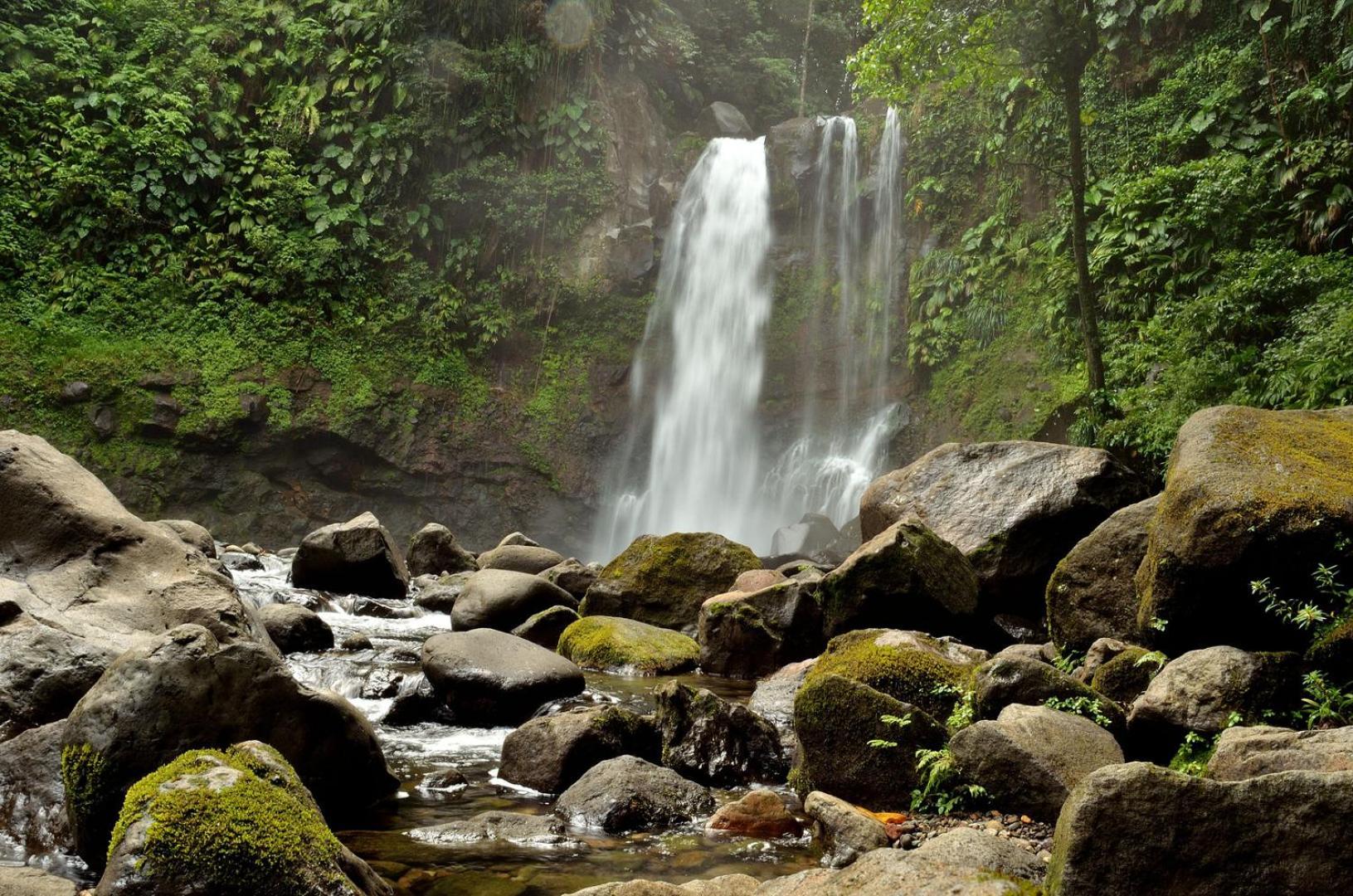 River Paradise Goyave Luaran gambar